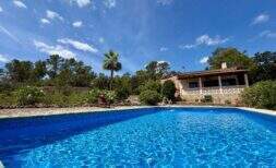 Gran piscina azul frente a rústica finca con terraza, palmera y bosque de pinos en Sant Joan, Mallorca.