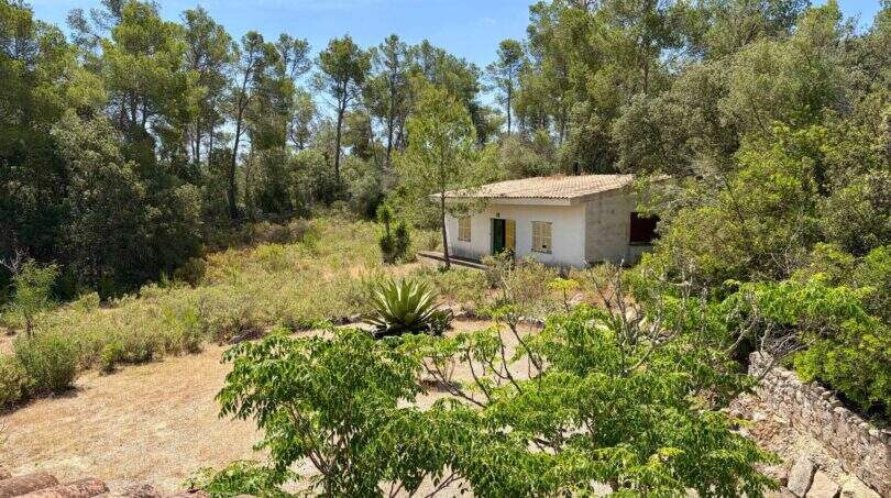 Kleines weißes Nebengebäude der Finca bei Vilafranca, umgeben von mediterranem Wald und wilder Vegetation.