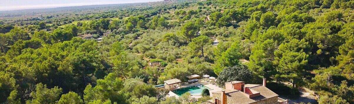 Fotografía aérea de una finca en Felanitx, rodeada de pinos y olivos, con piscina y terraza