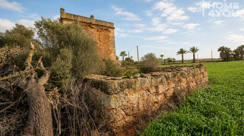 Historische Natursteinfinca bei Campos mit altem Wachturm, Trockensteinmauer, Palmen und grüner Wiese