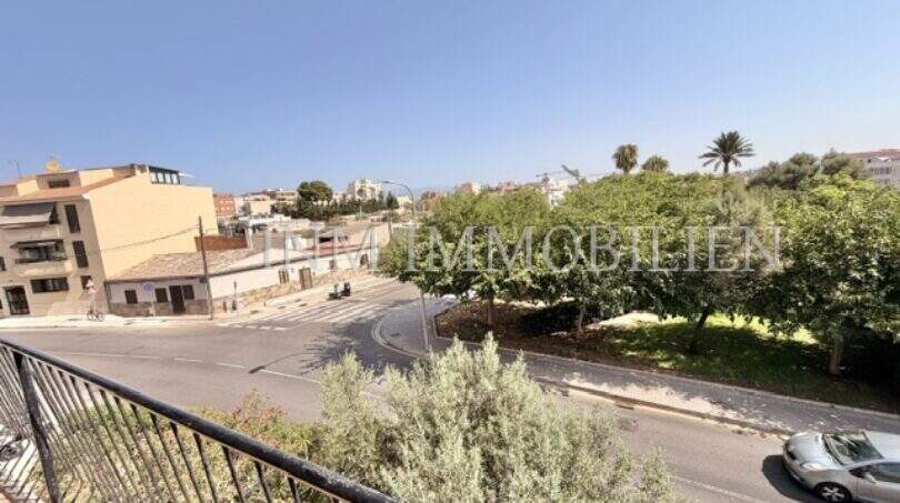 Vista desde el balcón a la intersección de calle arbolada en Es Coll d'en Rabassa con palmeras y vista al mar de fondo