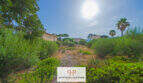 Verwildertes 930 qm Grundstück mit Vegetation, Palme und Nachbargebäuden in Sa Ràpita, Mallorca