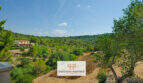 Weitläufige Naturlandschaft mit mediterranem Bewuchs und Blick auf Finca in Son Macià unter blauem Himmel