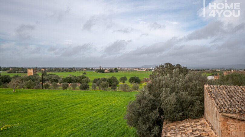 Weitläufige grüne Felder mit Olivenbäumen, historisches Natursteingebäude mit Ziegeldach, Panoramablick über Campos