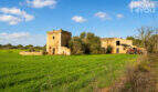 Finca histórica de piedra natural cerca de Campos, con torre, edificios de servicio y amplias vistas verdes, en una parcela de 21 300 m²