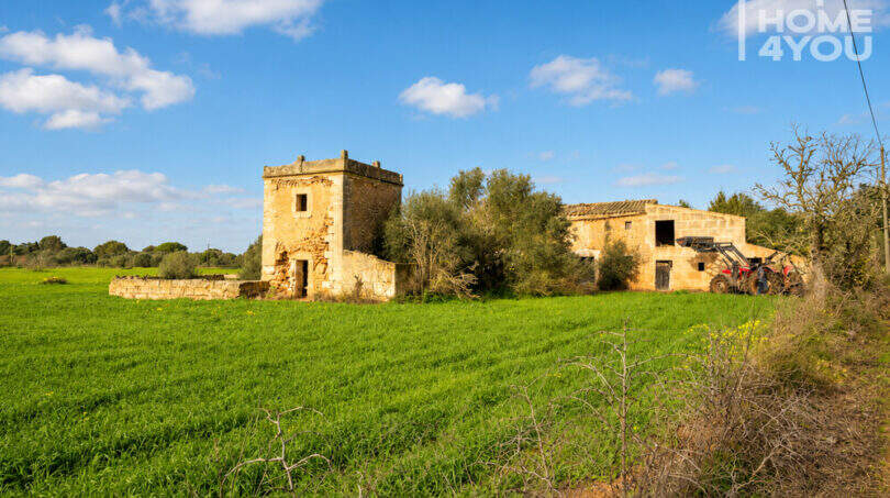 Finca histórica de piedra natural cerca de Campos, con torre, edificios de servicio y amplias vistas verdes, en una parcela de 21 300 m²