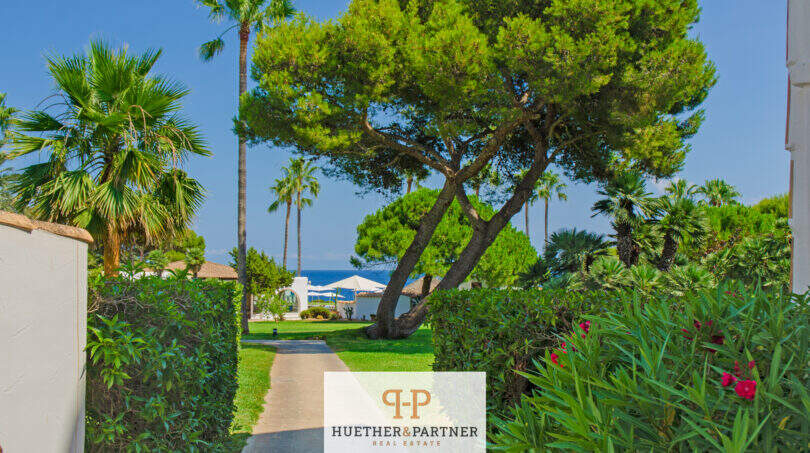 Gepflegter Gartenweg mit Palmen und Pinien, Blick aufs Meer in Apartmentanlage Cala d'Or