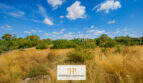 Naturgrundstück der Finca bei Felanitx mit trockenem Gras, Olivenbäumen und blauem Himmel