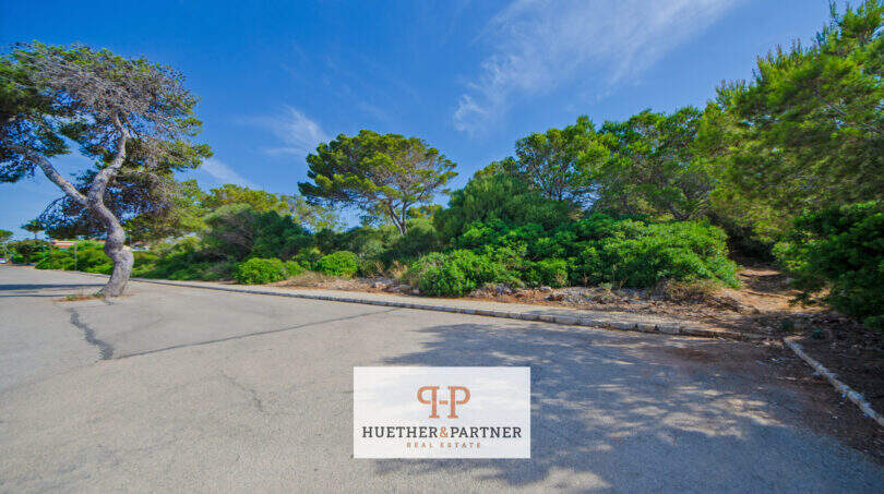 Baugrundstück Porto Cristo: Asphaltstraße, mediterrane Pinien und Macchia, sonnige Lage in 1. Meereslinie