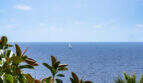 Vista al mar desde la villa de Cala Murada, con un velero y vegetación tropical en primer plano