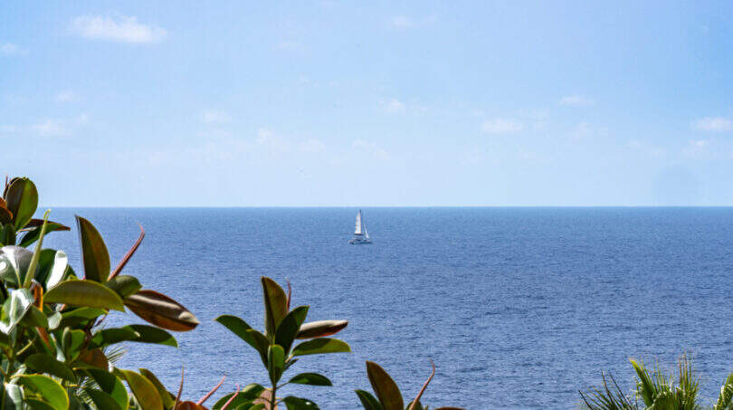 Vista al mar desde la villa de Cala Murada, con un velero y vegetación tropical en primer plano