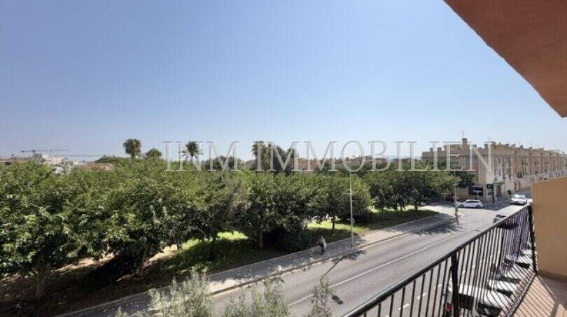 Balcón con vista a calle arbolada y zona residencial en Es Coll d'en Rabassa, Palma de Mallorca