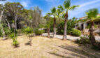 Amplia zona exterior de la villa en Cala Murada, con palmeras, vegetación mediterránea y fachada blanca.