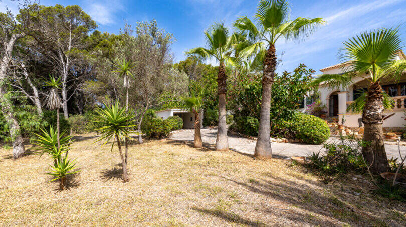 Amplia zona exterior de la villa en Cala Murada, con palmeras, vegetación mediterránea y fachada blanca.