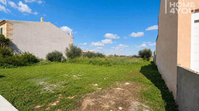 Solar urbano de 391 m² en Ses Salines con césped verde, olivos y edificios vecinos bajo un cielo azul.