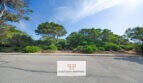 Baugrundstück in 1. Meereslinie Porto Cristo mit mediterraner Vegetation, Pinien und Straßenzugang