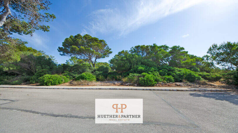 Baugrundstück in 1. Meereslinie Porto Cristo mit mediterraner Vegetation, Pinien und Straßenzugang