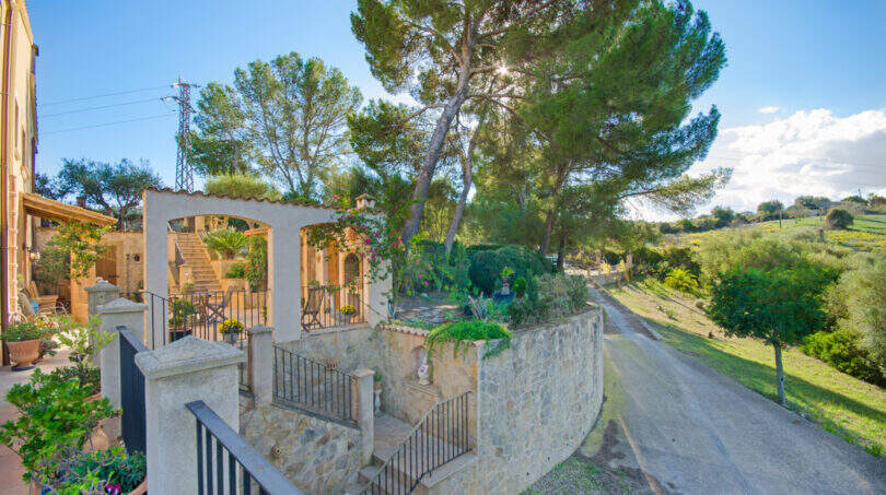 Mediterrane Finca Son Macià: Steinmauer, Pergola mit Arkaden, großer Pinienbaum und gepflegte Gartenanlage mit Zufahrt.