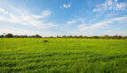 Weitläufiges grünes Grundstück der Natursteinfinca bei Campos mit 21.300 m² unter blauem Himmel