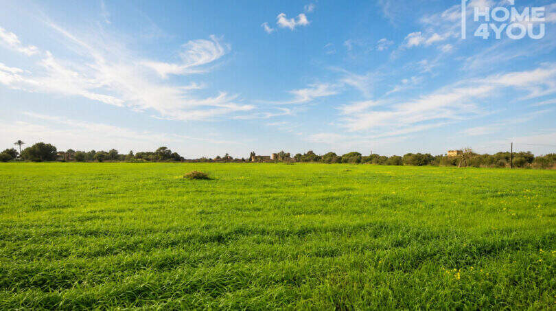 Weitläufiges grünes Grundstück der Natursteinfinca bei Campos mit 21.300 m² unter blauem Himmel