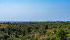 Weitläufige Grünlandschaft mit Baumbestand und Meerblick der Finca in Cales de Mallorca