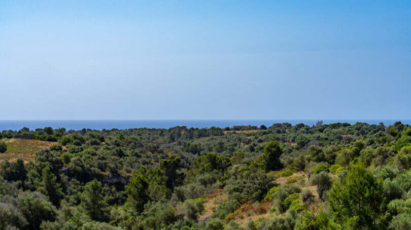 Weitläufige Grünlandschaft mit Baumbestand und Meerblick der Finca in Cales de Mallorca