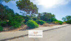Unbebautes Grundstück in 1. Meereslinie Porto Cristo mit mediterraner Vegetation, Pinien und Straßenzugang