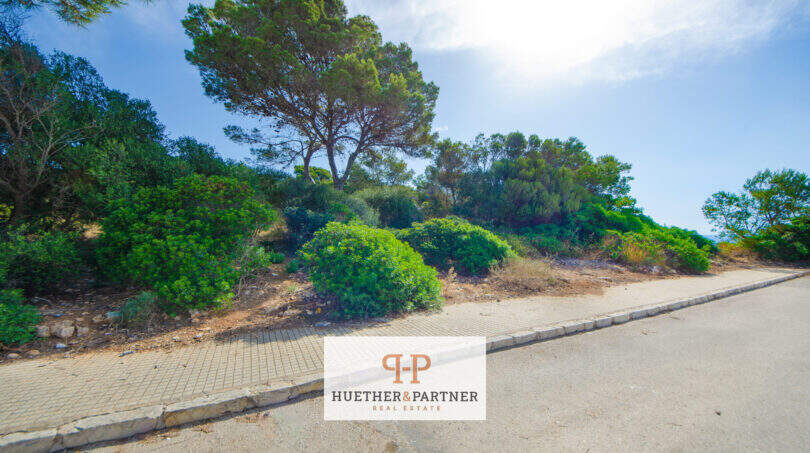 Unbebautes Grundstück in 1. Meereslinie Porto Cristo mit mediterraner Vegetation, Pinien und Straßenzugang