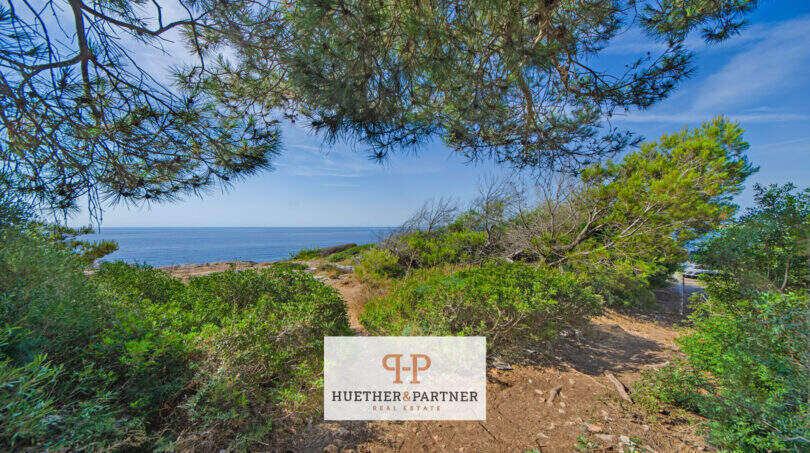 Naturnahes Baugrundstück in 1. Meereslinie Porto Cristo mit direktem Meerblick, umgeben von Pinien und Mittelmeervegetation.
