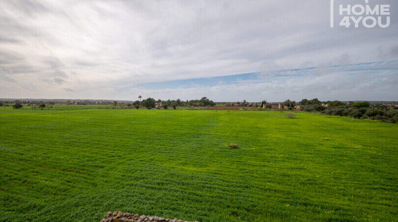 Weitläufiger Blick auf das 21.300 m² Grundstück der historischen Natursteinfinca bei Campos mit grünen Feldern