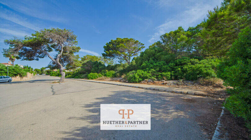 Baugrundstück Porto Cristo: Asphaltierte Straße, umgeben von Pinien und mediterraner Vegetation, Meerblick möglich.