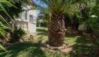 Gepflegter Garten mit großer Palme und mediteraner Villa in Llucmajor
