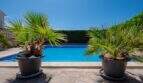 Privater Pool mit blauem Wasser, flankiert von zwei Palmen in Töpfen, mediterranes Ambiente in Llucmajor.
