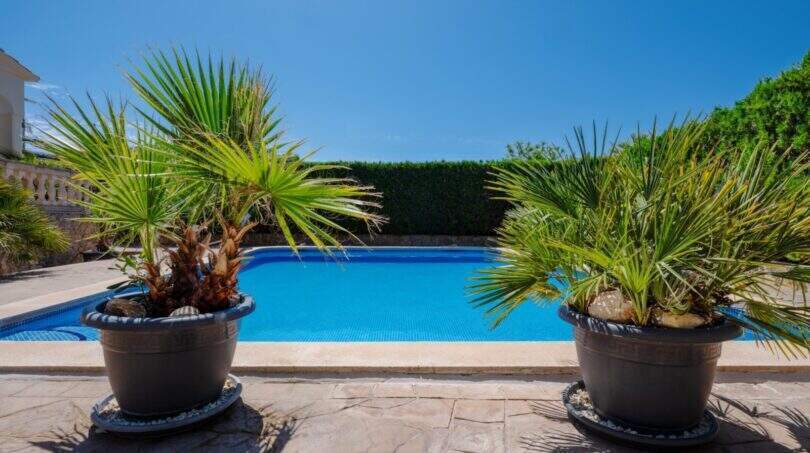 Privater Pool mit blauem Wasser, flankiert von zwei Palmen in Töpfen, mediterranes Ambiente in Llucmajor.