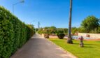 Gepflegter Einfahrtsweg mit Hecke, Palme und Pool der Finca bei Sencelles, Mallorca