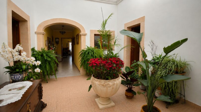 Eleganter Eingangsbereich der Finca mit Rundbogenarchitektur, Natursteinrahmen und üppigen Topfpflanzen.