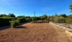 Weitläufiges Grundstück mit Obstbäumen, roter Erde und Natursteinmauer der Finca bei Sencelles, Mallorca.