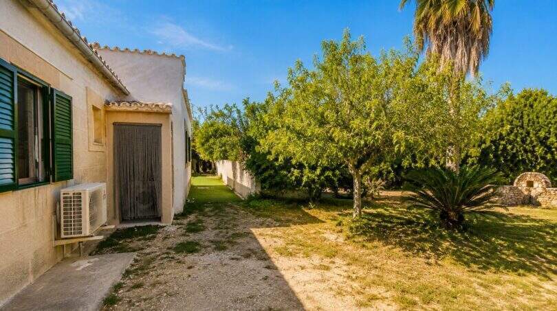 Seitlicher Gartenbereich der mallorquinischen Finca mit Obstbäumen, Palme und Klimaanlage an der Hauswand.