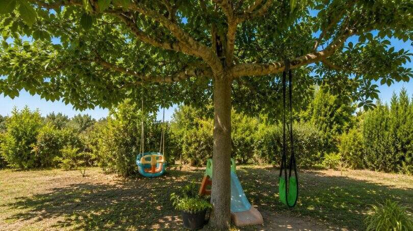 Schattiger Gartenbereich der Finca mit großem Baum, Kinderschaukeln und Rutsche in Lloret de Vistalegre