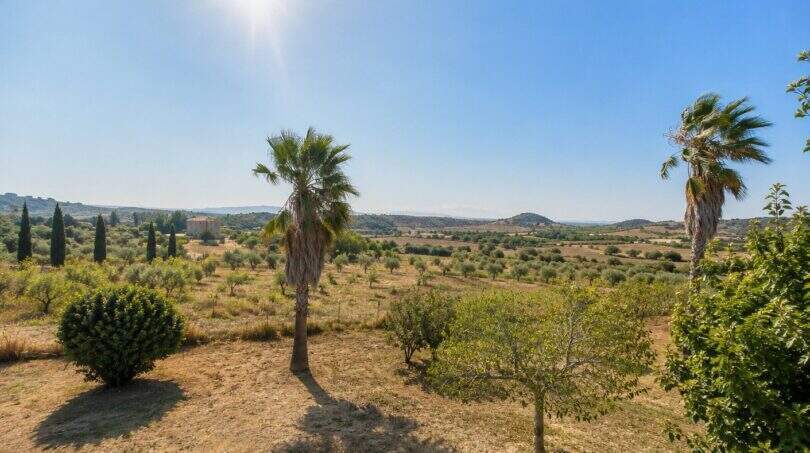 Weitläufige Außenanlage der Finca Lloret de Vistalegre mit Palmen, Olivenbäumen und Panoramablick über mallorquinische Hügellandschaft.