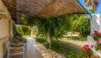 Überdachte Terrasse der Finca Mallorca mit Holzstühlen, Rankpflanzen und grünem Garten unter blauem Himmel.