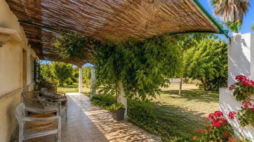 Überdachte Terrasse der Finca Mallorca mit Holzstühlen, Rankpflanzen und grünem Garten unter blauem Himmel.