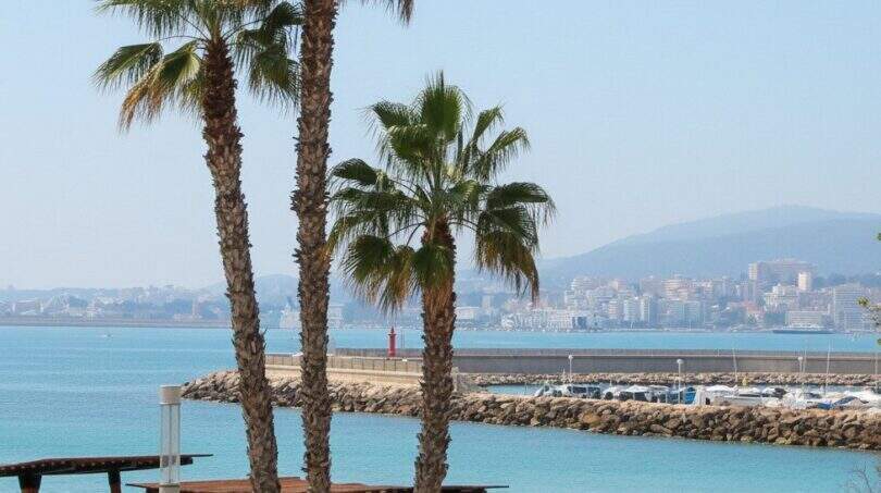 Meerblick vom Stadthaus in Portixol mit Palmen, türkisem Wasser und Hafenmole in Palma de Mallorca.
