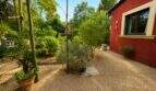 Gravel path next to red countryside house with natural stone frame window, lush garden and Mediterranean plants, Finca Llucmajor