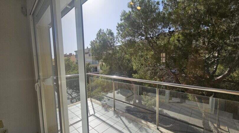 Moderner Balkon mit Glasgeländer und Blick auf grüne Bäume und Nachbargebäude in Palma