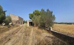 Rustic finca in Porto Cristo with natural stone buildings, garden land and spacious property under blue sky.
