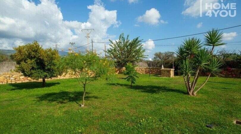Gepflegter Garten mit Palmen und Bäumen, Natursteinmauer, Blick auf Tramuntana-Gebirge, Villa Lloseta