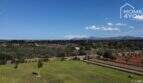 Extenso jardín de la finca en Santa Margalida con palmeras, muro de piedra y panorama montañoso al fondo.
