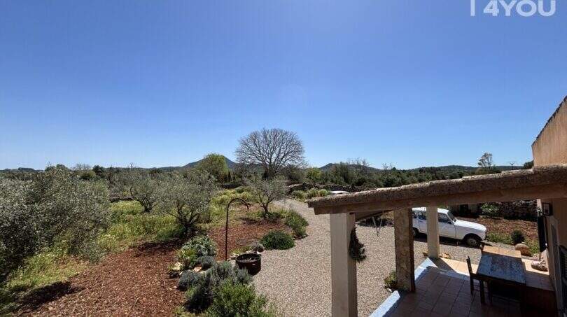 Spacious finca terrace with olive trees, gravel path and mountain views near Felanitx, Mallorca