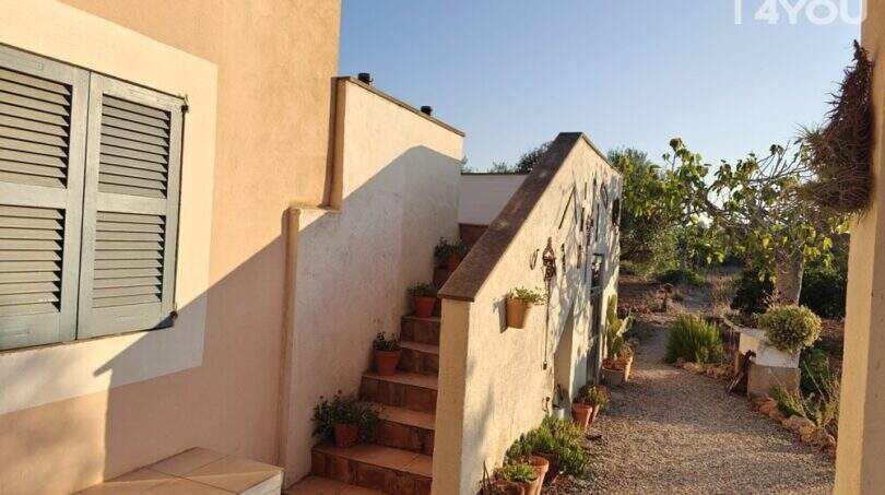 Outdoor area of Finca Felanitx: Terrace with stairs, potted plants, wooden window shutters and Mediterranean garden with cacti.